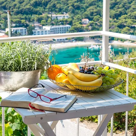 Arijana Bayview Studio Dubrovnik